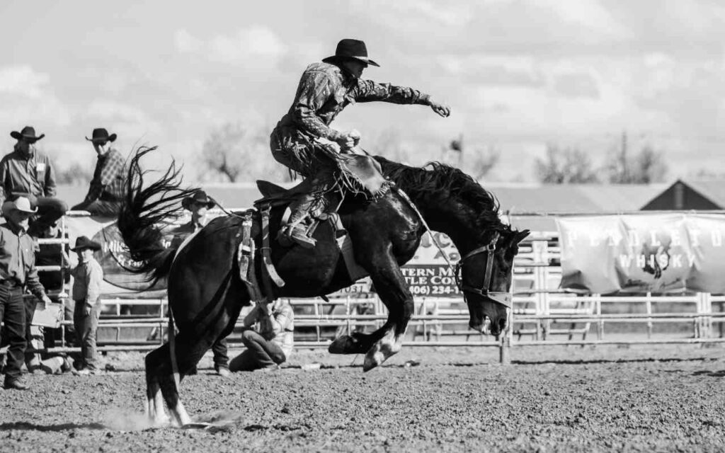 A photo of a man riding a rodeo horse. Western stallion names make perfect names for bikes.