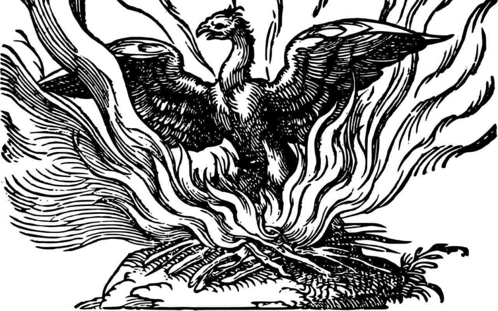 An illustration of a phoenix in the flames.